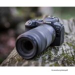 Canon RF 100-400 mm F5,6-8 IS USM - Imagen 5