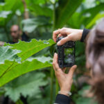 Sony Alpha 7C R Body - Silver - Imagen 5