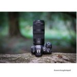 Canon RF 100-400 mm F5,6-8 IS USM - Imagen 6