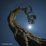 Sony 20-70 mm F4 Premium G FE - Imagen 7